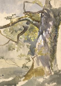 19th Century Watercolour - Mossy Tree