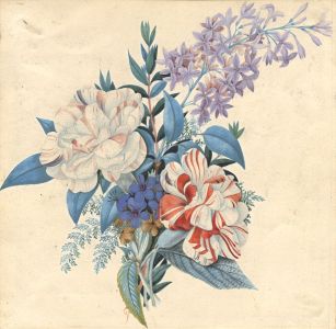 Late 19th Century Watercolour - Floral Still Life