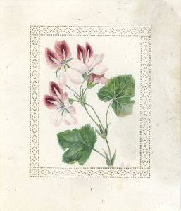 Late 19th Century Watercolour - Floral Still Life