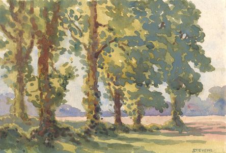 Henry P. Stevens - Signed Early 20th Century Watercolour, Line of Trees