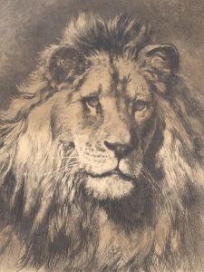 Herbert Thomas Dicksee (1862-1942) - Early 20th Century Etching, Head of a Lion