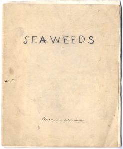 English School 19th Century Album - Seaweed Specimens