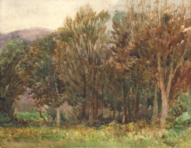 George Leonard Leigh (1857-1942) - Watercolour, Autumnal Landscape