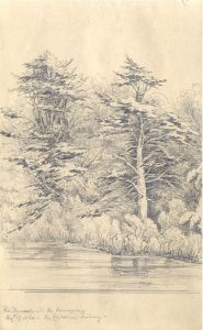 English School 1850 Graphite Drawing - Trees on the Water's Edge