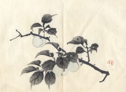 Attrib. to Imao Keinen (1845–1924) - 1906 Watercolour, Branch Study