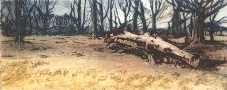 Mallinson - Signed Mid 20th Century Etching, Spinney