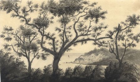 M. S. Jeffs - Fine Early 19th Century Pen and Ink Drawing, Coastal Landscape