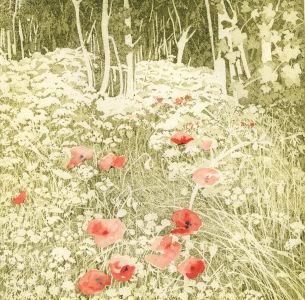 Sarah Browne - Signed Contemporary Aquatint, Poppies