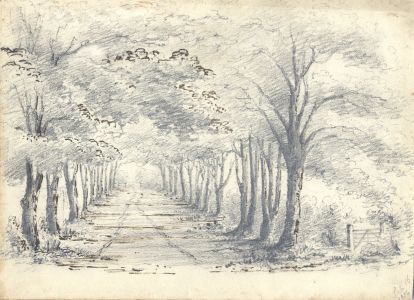 Attributed John Samuel Bowles - 1854 Graphite Drawing, Path Lined with Trees
