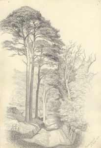 1871 Graphite Drawing - Rydal Mount