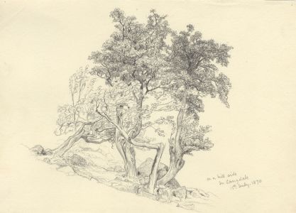 1870 Graphite Drawing - Hillside in Langdale