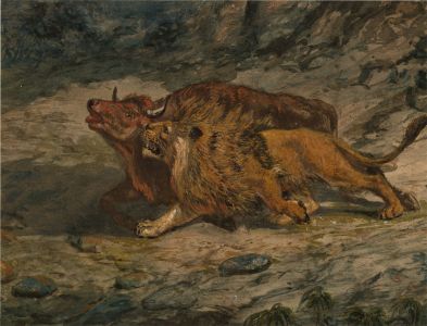 English School 19th Century Watercolour - A Lion Attacking a Bull