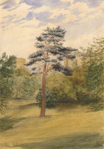 19th Century Watercolour - Garden View
