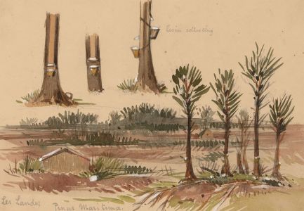 T. Dobson - Late 19th Century Watercolour, Resin Collecting