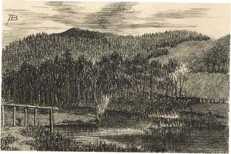 Alexander Blackwood - Late 19th Century Pen and Ink Drawing, Woodland Landscape