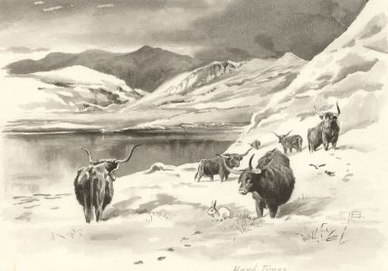 Alexander Blackwood - Late 19th Century Watercolour, Highland Cattle in the Snow