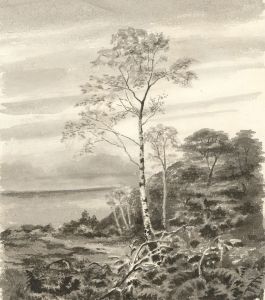Alexander Blackwood - Late 19th Century Watercolour, Coastal Landscape
