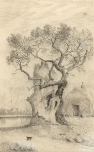 Alexander Blackwood - Late 19th Century Pen and Ink Drawing, Oak in a Landscape