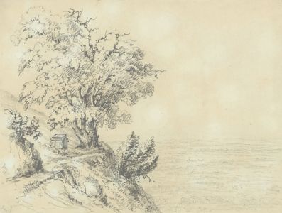 Attributed John Samuel Bowles - 1861 Graphite Drawing, The Old Ash Tree