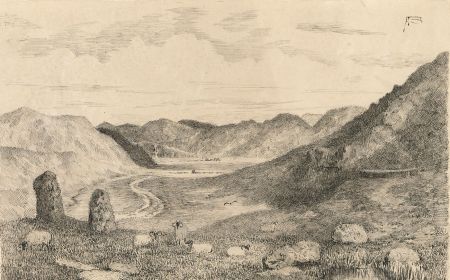 Alexander Blackwood - Late 19th Century Pen and Ink Drawing, Mountain Sheep