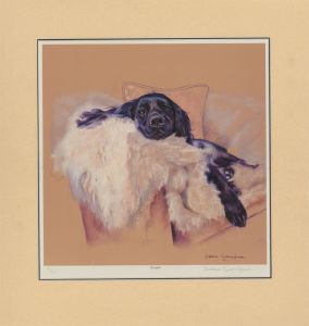 Debbie Gillingham - Limited Edition Contemporary Digital Print, Cocker Spaniel