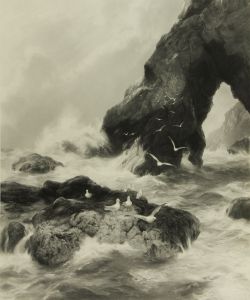 Joseph Pratt after Peter Graham (1836-1921) - Large Signed Engraving, Seagulls