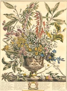 1989 Lithographs - Williamsburg Restoration Folio of Floral Prints