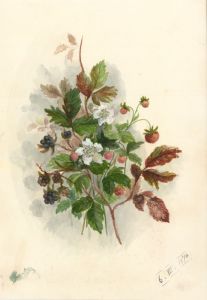 Bertha Gibbons - 1874 Watercolour, Fruit Study