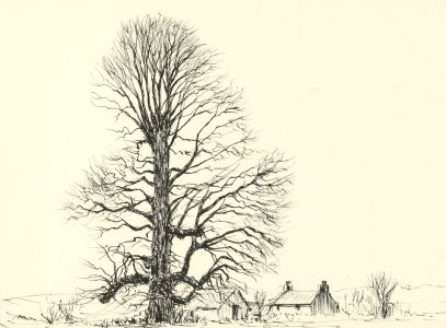Ronald Birch - Set of Three circa 1970s Pen and Ink Drawing, Winter Trees