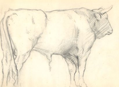 George Willoughby Maynard (1843-1923) - Set of Five Graphite Drawings of Horses