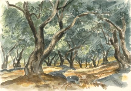 Glyn Morgan (1926-2015) - Watercolour, Woodland Landscape