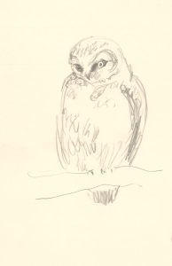 Glyn Morgan (1926-2015) - Set of Five Graphite Drawings, Bird Studies