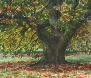 Glyn Morgan (1926-2015) - Watercolour, Autumn Park Landscape