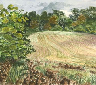 Glyn Morgan (1926-2015) - Watercolour, harvest Landscape