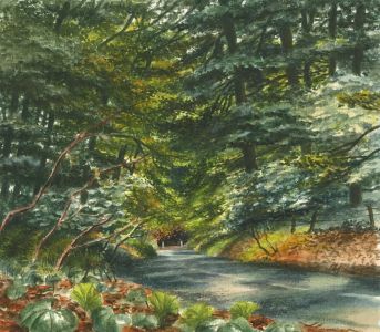 Glyn Morgan (1926-2015) -Watercolour, Autumn River Landscape