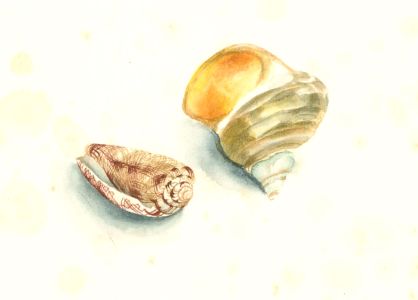 Glyn Morgan (1926-2015) - Two  Watercolours, Nautical Studies