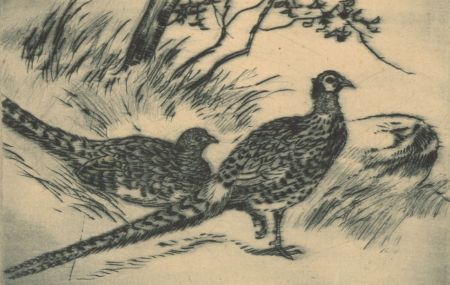 Signed Early 20th Century Etching - Pheasants
