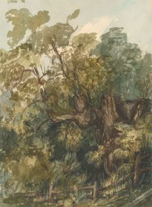 A. Dunster - Signed 1850 Watercolour, Woodland Landscape