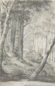 W. Jeffs - Fine 1836 Graphite Drawing, View in Apley Wood