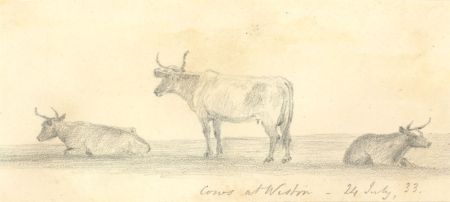 W. Jeffs - Fine 1833 Graphite Drawing, Cows at Weston