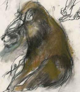 Brian Liddle - Contemporary Pastel, Crouching Baboon