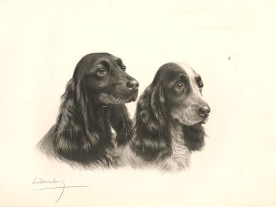 Léon Danchin (1887-1939) - 20th Century Lithograph, Cocker Spaniels