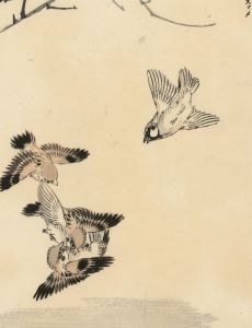 Fine Japanese School Late 19th Century Pen and Ink Drawing - Sparrows in Flight