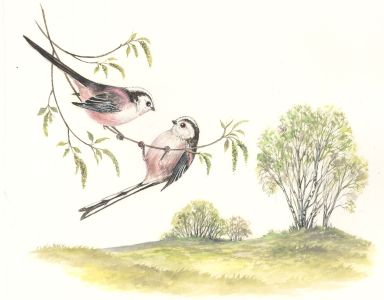 Frances Fry - Contemporary Watercolour, Birds in a Landscape