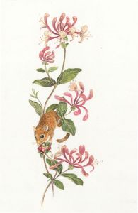 Frances Fry - Contemporary Watercolour, Mouse and Pink Honeysuckle