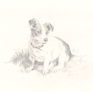 Frances Fry - Contemporary Graphite Drawing, Dog