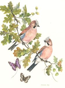 Frances Fry - Signed Contemporary Watercolour, Bird and Butterfly on Oak Branch