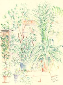Peter Chambers - 1987 Coloured Pencil, Marbella Garden