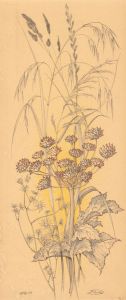 Douglas L Hadden - Signed 1975 Pen and Ink Drawing, Botanical Plant Study