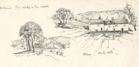 Robert Shuck - Three Contemporary Pen and Ink Drawings, Landscape Studies